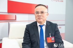 “智能化项目审前研究取实施方案编写辅帮系统